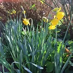 Redington House Selfcatering *