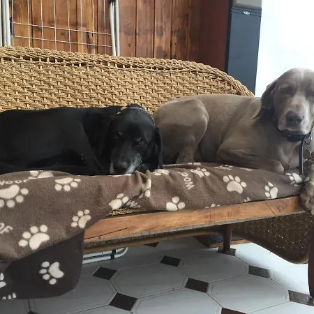 Redington House Selfcatering Apartament Cobh