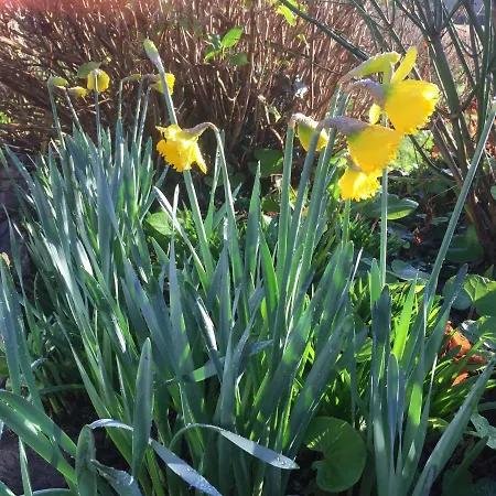 Redington House Selfcatering *