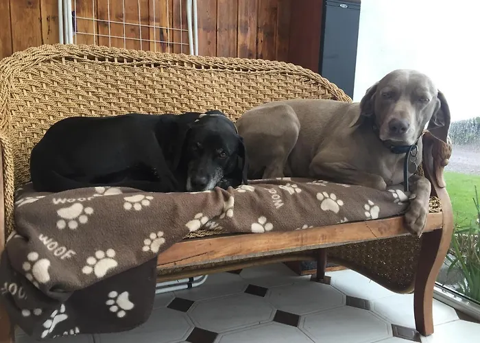 Redington House Selfcatering 아파트 코브