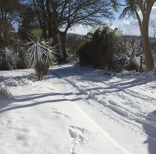 Redington House Selfcatering 아파트 코브